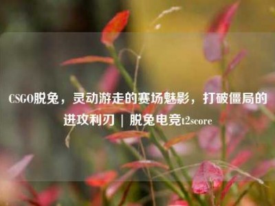 CSGO脱兔，灵动游走的赛场魅影，打破僵局的进攻利刃 | 脱兔电竞t2score