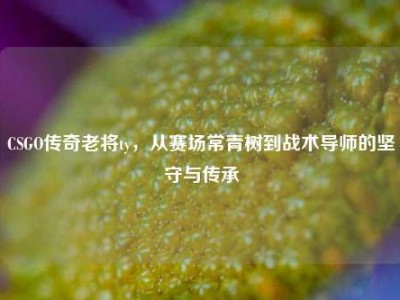 CSGO传奇老将ty，从赛场常青树到战术导师的坚守与传承