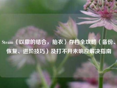 Steam〈以撒的结合，胎衣〉存档全攻略（备份、恢复、进阶技巧）及打不开未响应解决指南