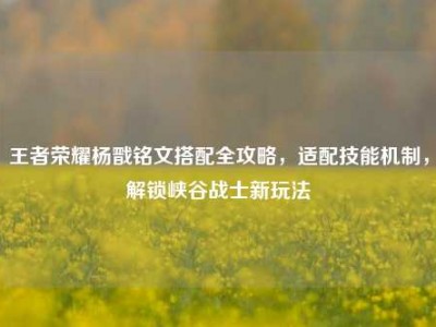王者荣耀杨戬铭文搭配全攻略，适配技能机制，解锁峡谷战士新玩法