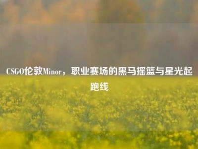 CSGO伦敦Minor，职业赛场的黑马摇篮与星光起跑线