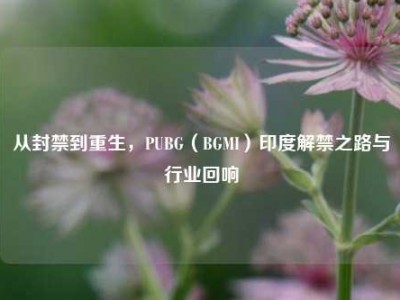 从封禁到重生，PUBG（BGMI）印度解禁之路与行业回响