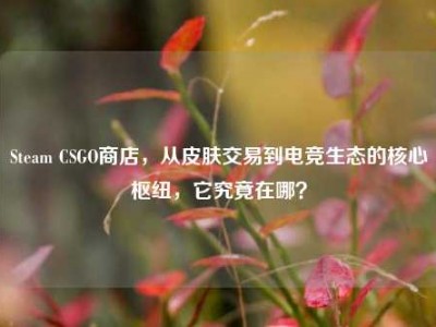 Steam CSGO商店，从皮肤交易到电竞生态的核心枢纽，它究竟在哪？