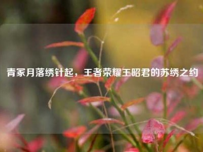 青冢月落绣针起，王者荣耀王昭君的苏绣之约