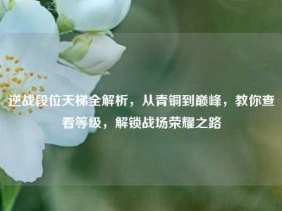 逆战段位天梯全解析，从青铜到巅峰，教你查看等级，解锁战场荣耀之路