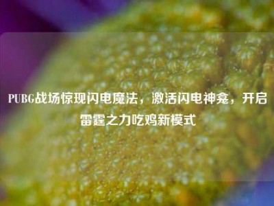 PUBG战场惊现闪电魔法，激活闪电神龛，开启雷霆之力吃鸡新模式