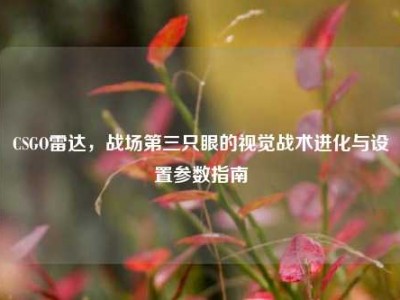 CSGO雷达，战场第三只眼的视觉战术进化与设置参数指南