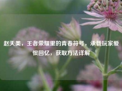 赵天美，王者荣耀里的青春符号，承载玩家爱恨回忆，获取方法详解