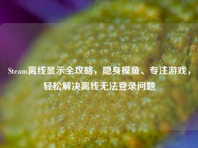 Steam离线显示全攻略，隐身摸鱼、专注游戏，轻松解决离线无法登录问题