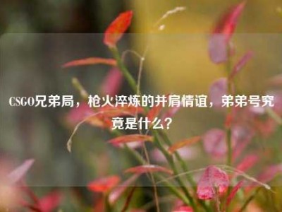 CSGO兄弟局，枪火淬炼的并肩情谊，弟弟号究竟是什么？