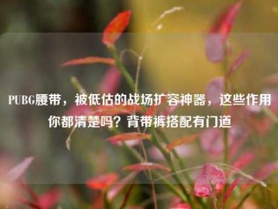 PUBG腰带，被低估的战场扩容神器，这些作用你都清楚吗？背带裤搭配有门道
