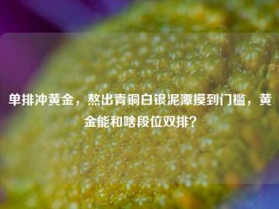 单排冲黄金，熬出青铜白银泥潭摸到门槛，黄金能和啥段位双排？