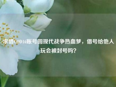 求借COD16账号圆现代战争热血梦，借号给他人玩会被封号吗？