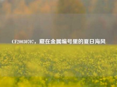 CF20030707，藏在金属编号里的夏日海风
