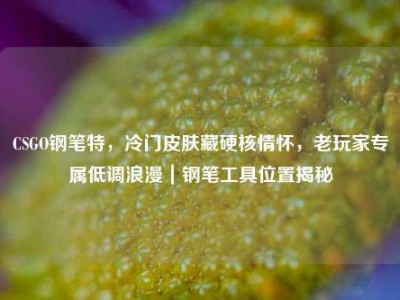 CSGO钢笔特，冷门皮肤藏硬核情怀，老玩家专属低调浪漫｜钢笔工具位置揭秘