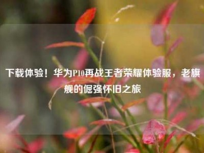 下载体验！华为P10再战王者荣耀体验服，老旗舰的倔强怀旧之旅