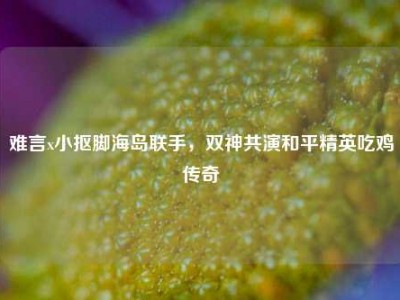 难言x小抠脚海岛联手，双神共演和平精英吃鸡传奇
