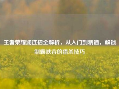 王者荣耀澜连招全解析，从入门到精通，解锁制霸峡谷的猎杀技巧
