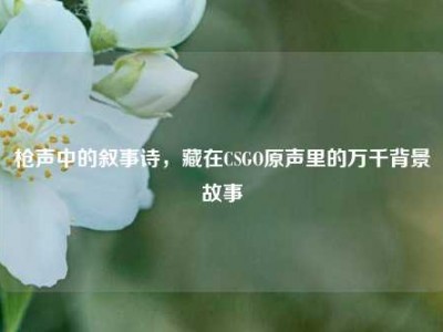 枪声中的叙事诗，藏在CSGO原声里的万千背景故事
