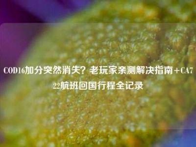 COD16加分突然消失？老玩家亲测解决指南+CA722航班回国行程全记录