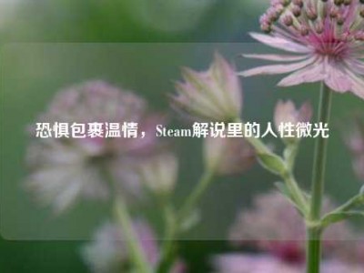 恐惧包裹温情，Steam解说里的人性微光