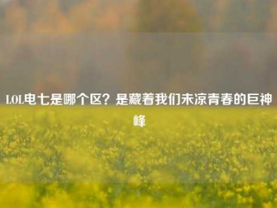 LOL电七是哪个区？是藏着我们未凉青春的巨神峰