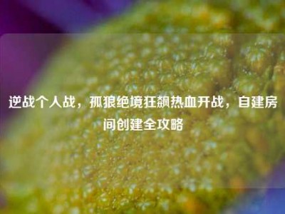 逆战个人战，孤狼绝境狂飙热血开战，自建房间创建全攻略
