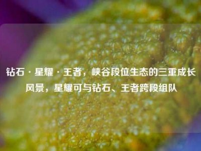钻石·星耀·王者，峡谷段位生态的三重成长风景，星耀可与钻石、王者跨段组队