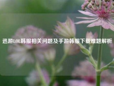 迅游LOL韩服相关问题及手游韩服下载难题解析