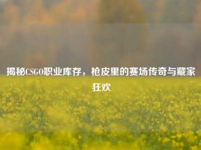 揭秘CSGO职业库存，枪皮里的赛场传奇与藏家狂欢