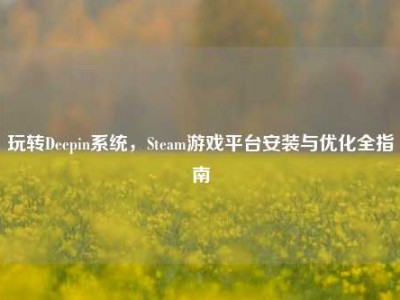 玩转Deepin系统，Steam游戏平台安装与优化全指南