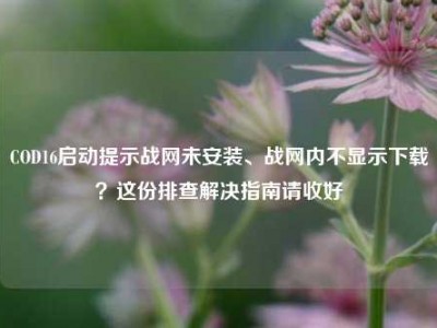 COD16启动提示战网未安装、战网内不显示下载？这份排查解决指南请收好