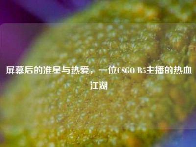 屏幕后的准星与热爱，一位CSGO B5主播的热血江湖