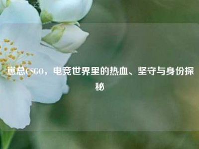 崽总CSGO，电竞世界里的热血、坚守与身份探秘