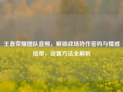 王者荣耀团队音频，解锁战场协作密码与情感纽带，设置方法全解析