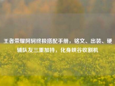王者荣耀阿轲终极搭配手册，铭文、出装、硬辅队友三重加持，化身峡谷收割机