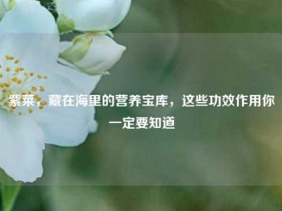 紫菜，藏在海里的营养宝库，这些功效作用你一定要知道