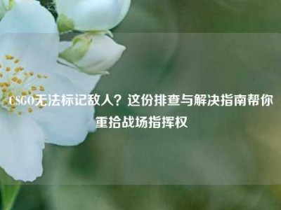 CSGO无法标记敌人？这份排查与解决指南帮你重拾战场指挥权