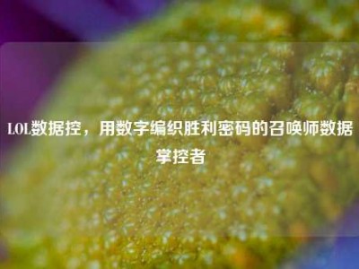 LOL数据控，用数字编织胜利密码的召唤师数据掌控者