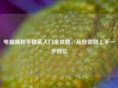 电脑端和平精英入门全攻略，从安装到上手一步到位