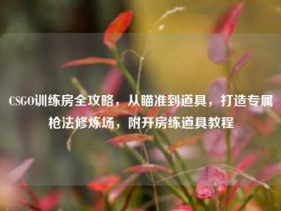 CSGO训练房全攻略，从瞄准到道具，打造专属枪法修炼场，附开房练道具教程