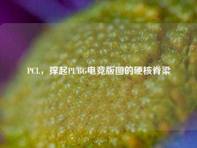 PCL，撑起PUBG电竞版图的硬核脊梁