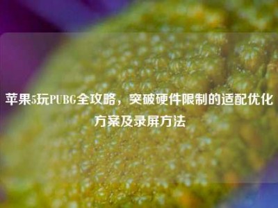 苹果5玩PUBG全攻略，突破硬件限制的适配优化方案及录屏方法