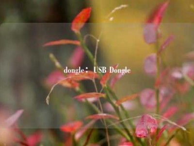 dongle：USB Dongle