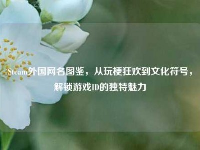 Steam外国网名图鉴，从玩梗狂欢到文化符号，解锁游戏ID的独特魅力