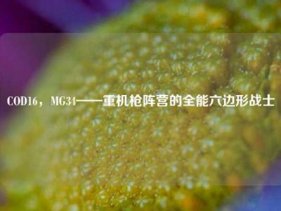 COD16，MG34——重机枪阵营的全能六边形战士