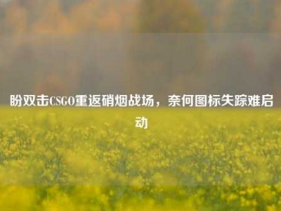 盼双击CSGO重返硝烟战场，奈何图标失踪难启动