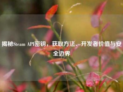 揭秘Steam API密钥，获取方法、开发者价值与安全边界