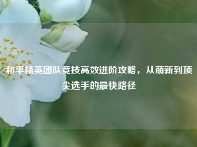 和平精英团队竞技高效进阶攻略，从萌新到顶尖选手的最快路径