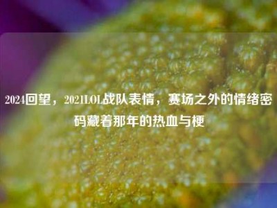 2024回望，2021LOL战队表情，赛场之外的情绪密码藏着那年的热血与梗